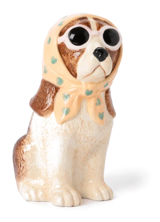 Multicolour vaas hond – Sissy-Boy